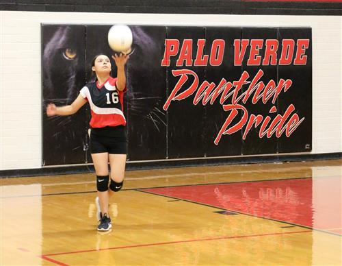 girl serving volleyball