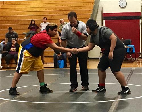 wrestling