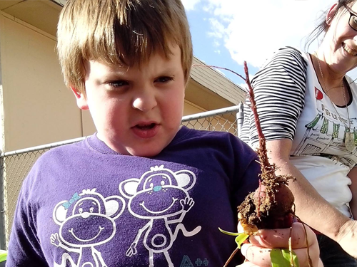 student holding beet grown in garden