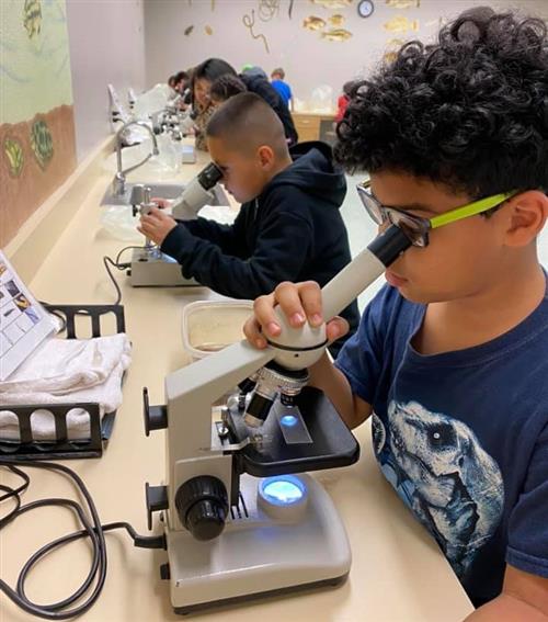 students looking through a microscope