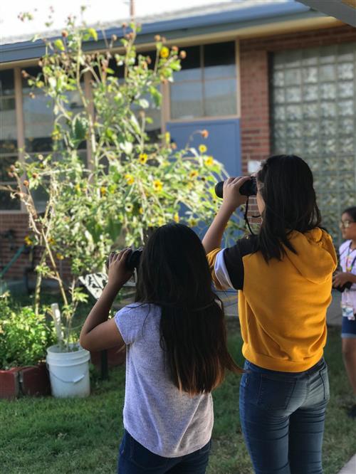 students use binoculars in the garden
